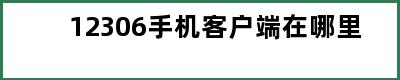 12306手机客户端在哪里