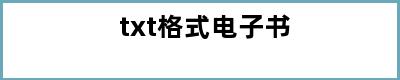 txt格式电子书