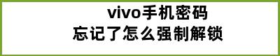 vivo手机密码忘记了怎么强制解锁