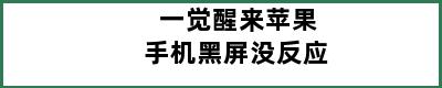 一觉醒来苹果手机黑屏没反应