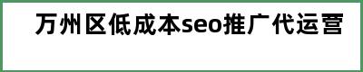 万州区低成本seo推广代运营