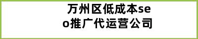 万州区低成本seo推广代运营公司