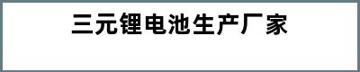 三元锂电池生产厂家