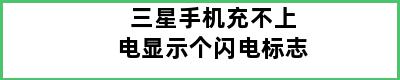 三星手机充不上电显示个闪电标志