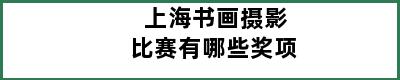 上海书画摄影比赛有哪些奖项