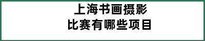 上海书画摄影比赛有哪些项目