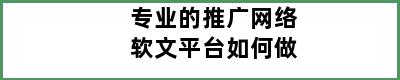 专业的推广网络软文平台如何做