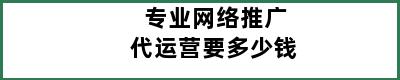 专业网络推广代运营要多少钱