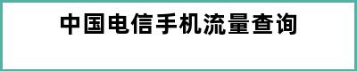 中国电信手机流量查询