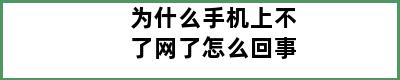 为什么手机上不了网了怎么回事