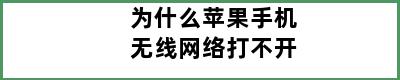 为什么苹果手机无线网络打不开