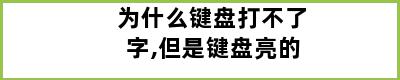 为什么键盘打不了字,但是键盘亮的