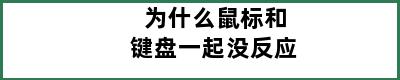 为什么鼠标和键盘一起没反应