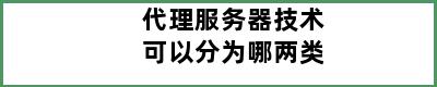 代理服务器技术可以分为哪两类