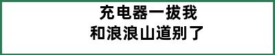 充电器一拔我和浪浪山道别了