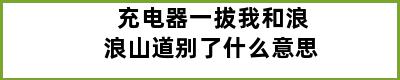 充电器一拔我和浪浪山道别了什么意思