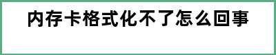 内存卡格式化不了怎么回事