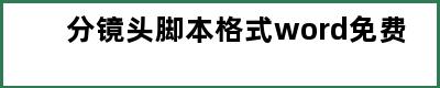 分镜头脚本格式word免费