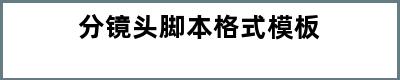 分镜头脚本格式模板