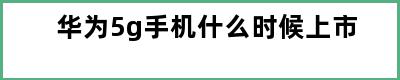 华为5g手机什么时候上市