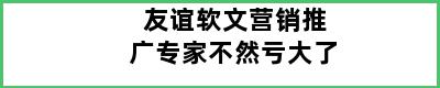 友谊软文营销推广专家不然亏大了