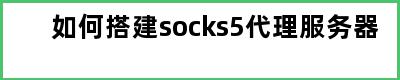 如何搭建socks5代理服务器