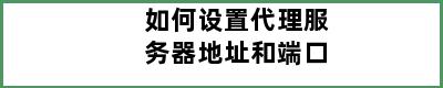 如何设置代理服务器地址和端口