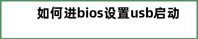 如何进bios设置usb启动