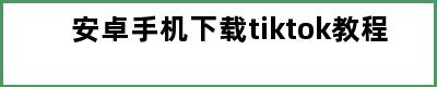 安卓手机下载tiktok教程