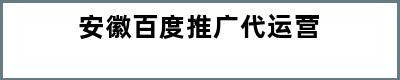 安徽百度推广代运营