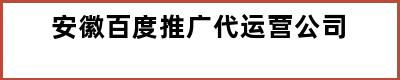 安徽百度推广代运营公司