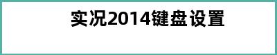 实况2014键盘设置