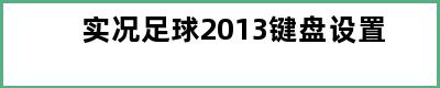 实况足球2013键盘设置