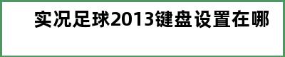 实况足球2013键盘设置在哪