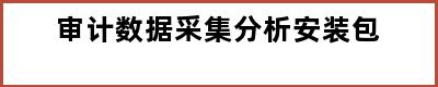 审计数据采集分析安装包