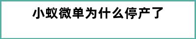 小蚁微单为什么停产了