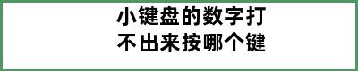 小键盘的数字打不出来按哪个键