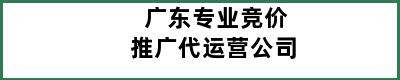 广东专业竞价推广代运营公司