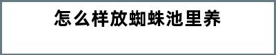 怎么样放蜘蛛池里养