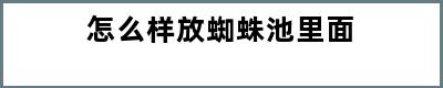 怎么样放蜘蛛池里面