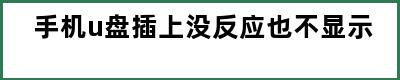 手机u盘插上没反应也不显示