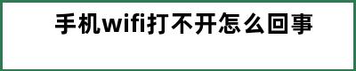 手机wifi打不开怎么回事