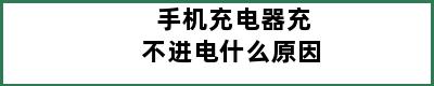 手机充电器充不进电什么原因