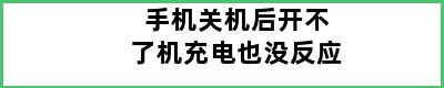 手机关机后开不了机充电也没反应