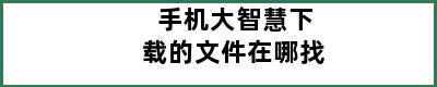 手机大智慧下载的文件在哪找