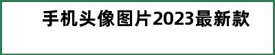 手机头像图片2023最新款