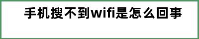 手机搜不到wifi是怎么回事