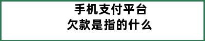 手机支付平台欠款是指的什么