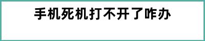 手机死机打不开了咋办