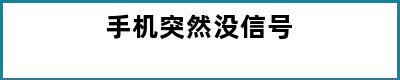 手机突然没信号